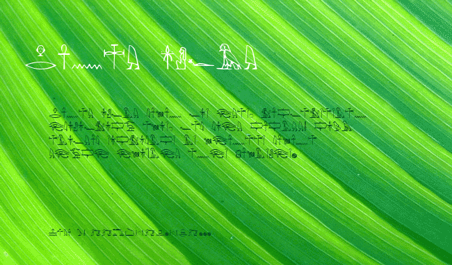 Yiroglyphics example