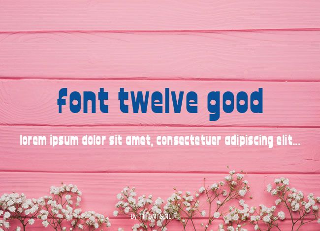 font twelve good example