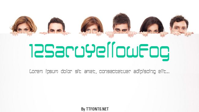 12SaruYellowFog example