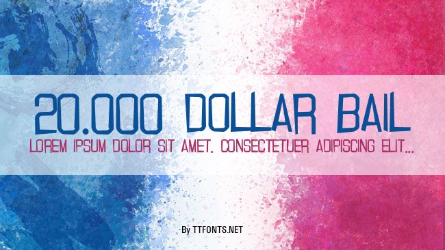 20.000 Dollar Bail example