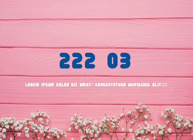 222 03 example