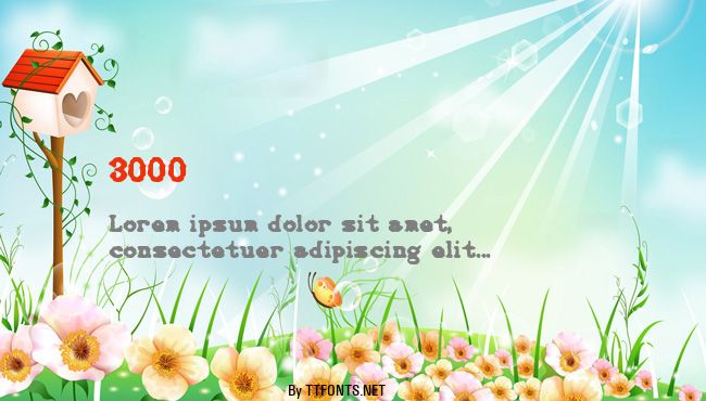 3000 example