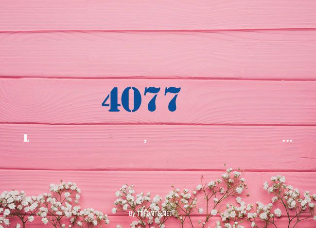 4077th example