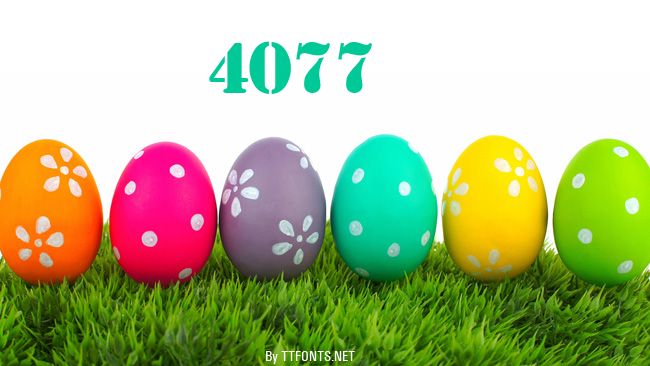 4077th example