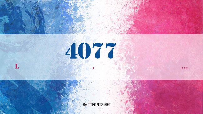4077th example