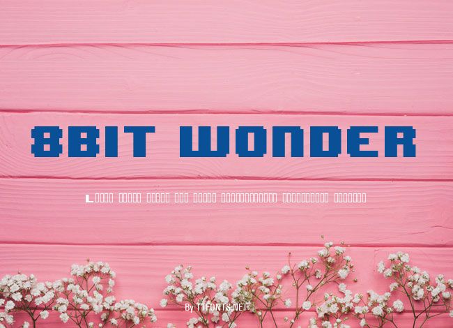 8BIT WONDER example