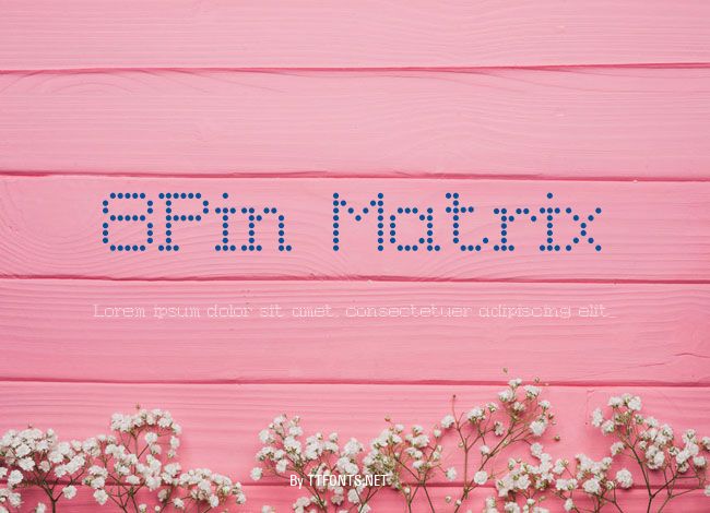 8Pin Matrix example