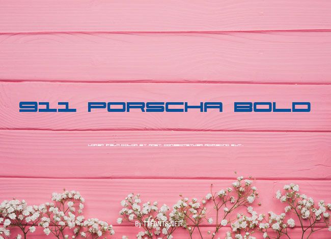 911 Porscha Bold example