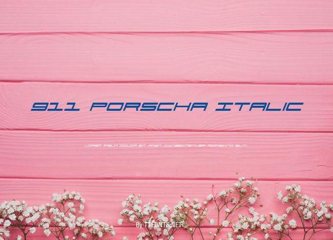 911 Porscha Italic example