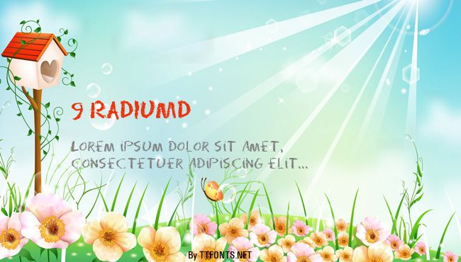 9 RADIUMD example