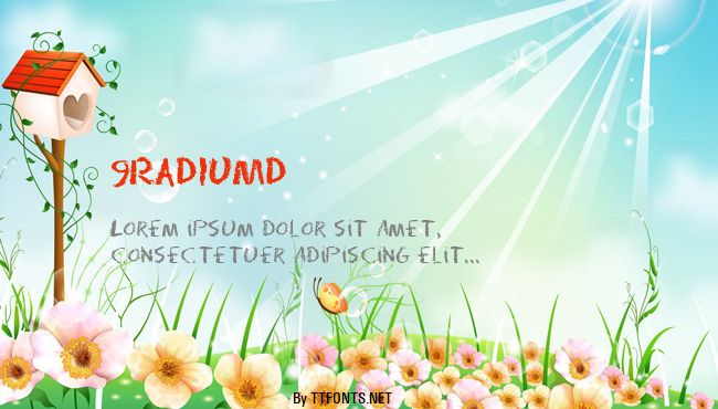 9RADIUMD example