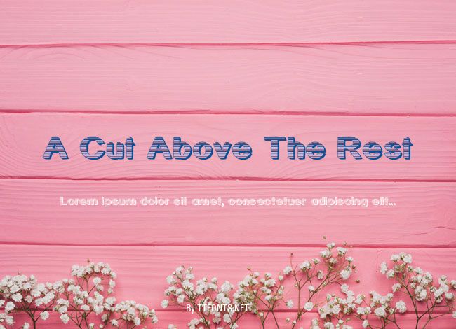 A Cut Above The Rest example
