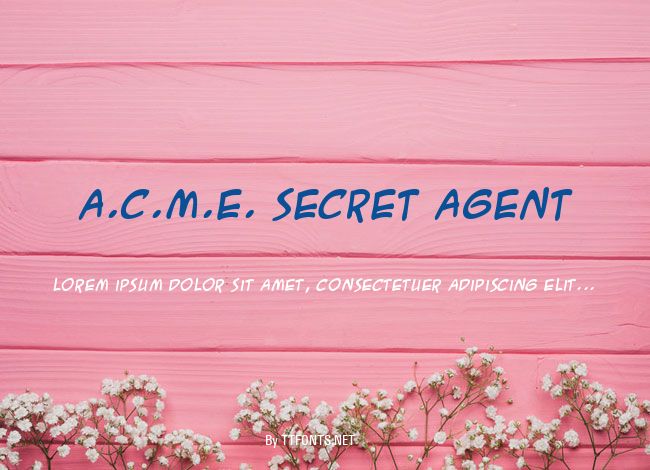 A.C.M.E. Secret Agent example