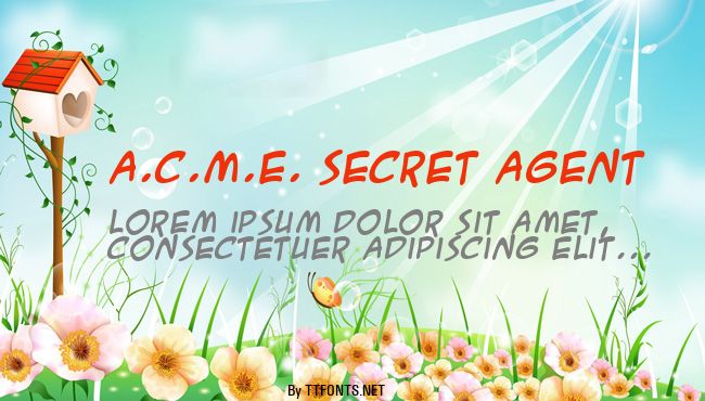 A.C.M.E. Secret Agent example