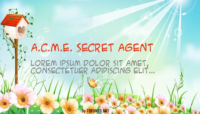 A.C.M.E. Secret Agent example