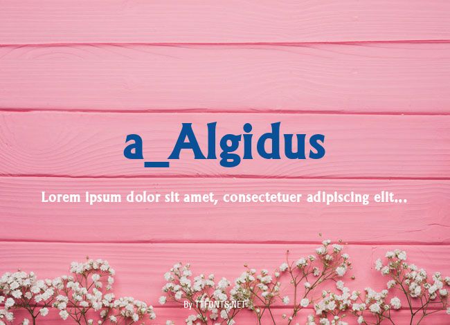 a_Algidus example