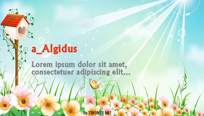 a_Algidus example
