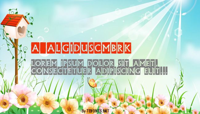 a_AlgidusCmBrk example
