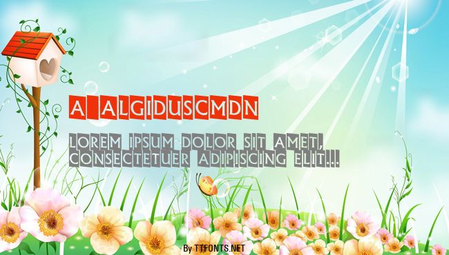 a_AlgidusCmDn example