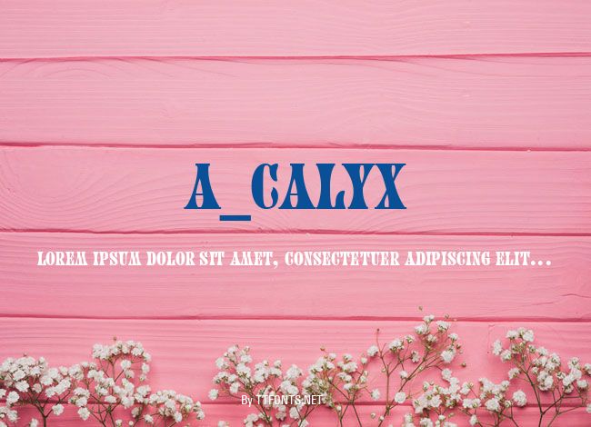 a_Calyx example