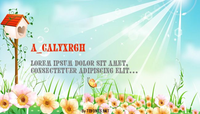a_CalyxRgh example