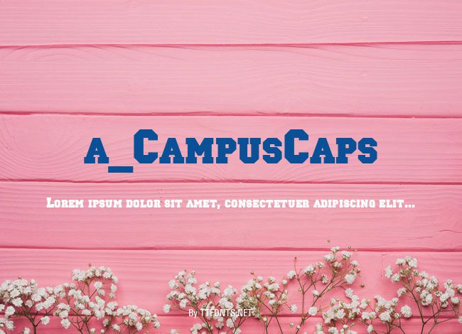 a_CampusCaps example