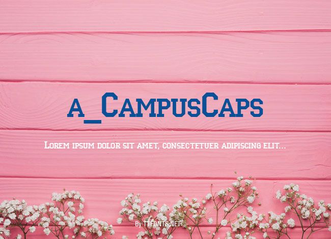 a_CampusCaps example