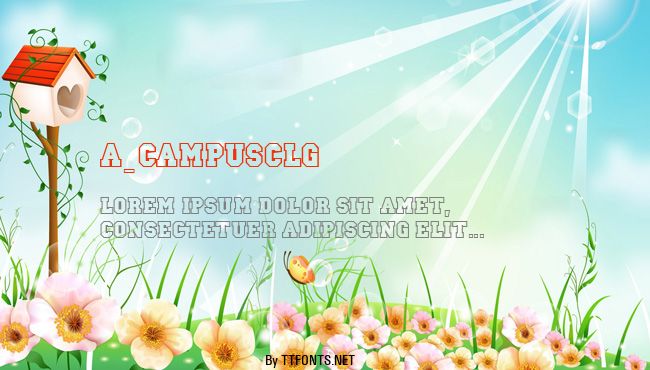 a_CampusClg example