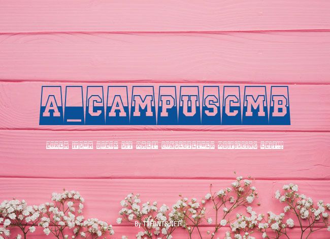 a_CampusCmB&WPrsp example