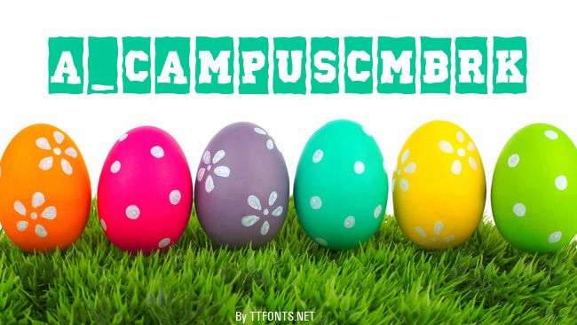 a_CampusCmBrk example