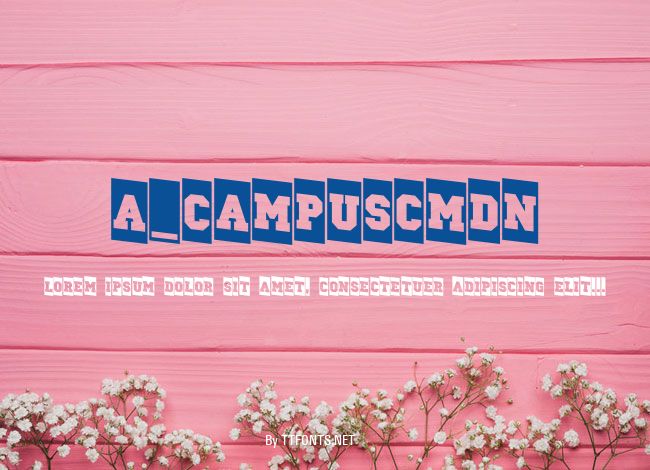 a_CampusCmDn example