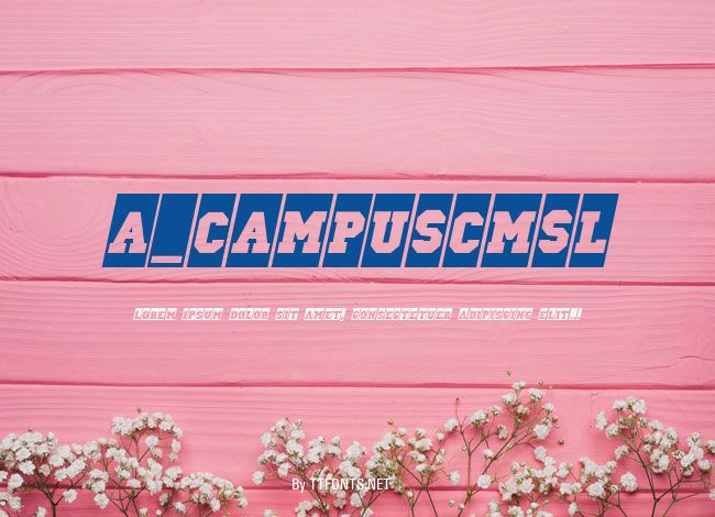 a_CampusCmSl example