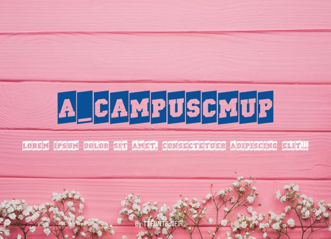 a_CampusCmUp example