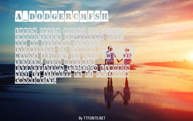 a_DodgerCmFsh example