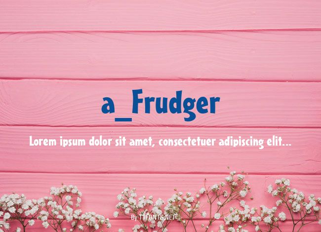 a_Frudger example