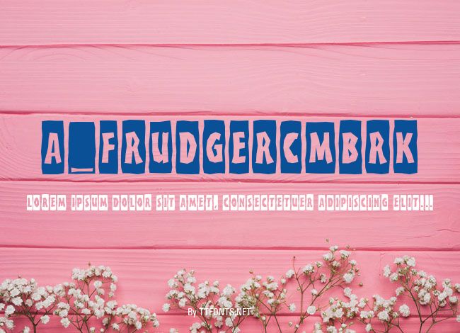 a_FrudgerCmBrk example