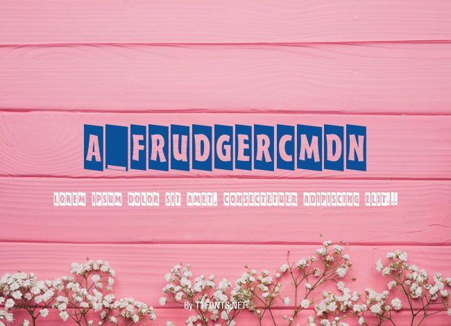 a_FrudgerCmDn example