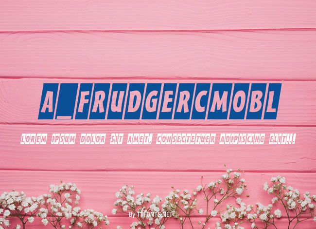a_FrudgerCmObl example