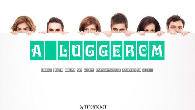a_LuggerCm example