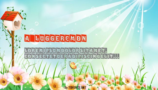 a_LuggerCmDn example