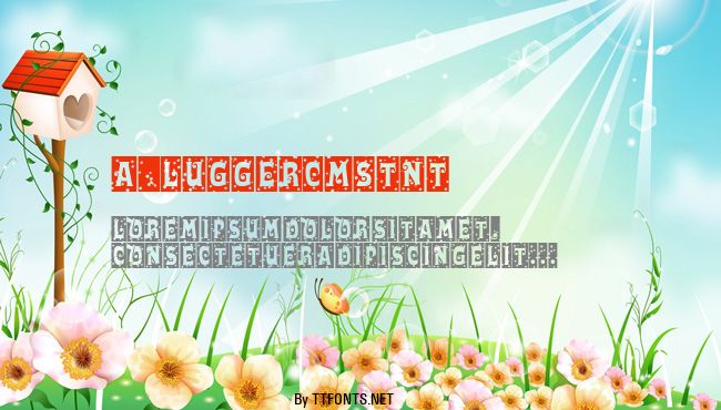 a_LuggerCmStNt example