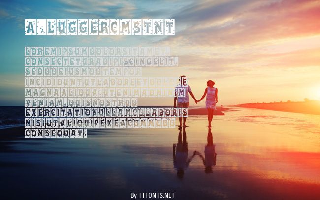 a_LuggerCmStNt example