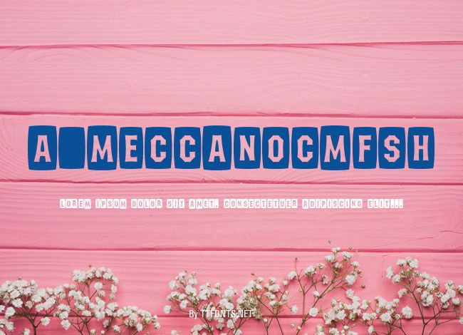 a_MeccanoCmFsh example