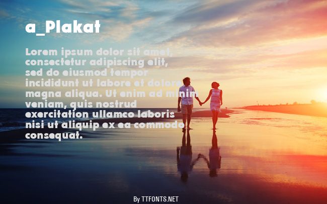 a_Plakat example