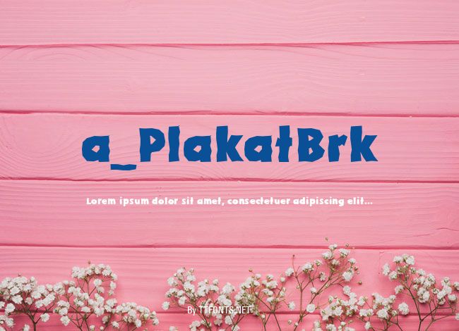 a_PlakatBrk example
