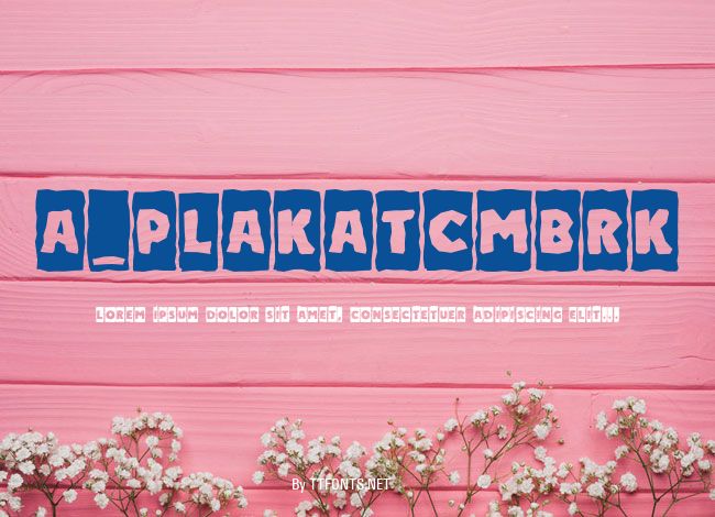 a_PlakatCmBrk example