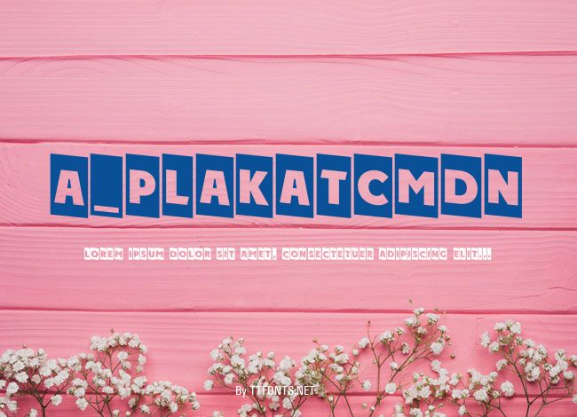 a_PlakatCmDn example