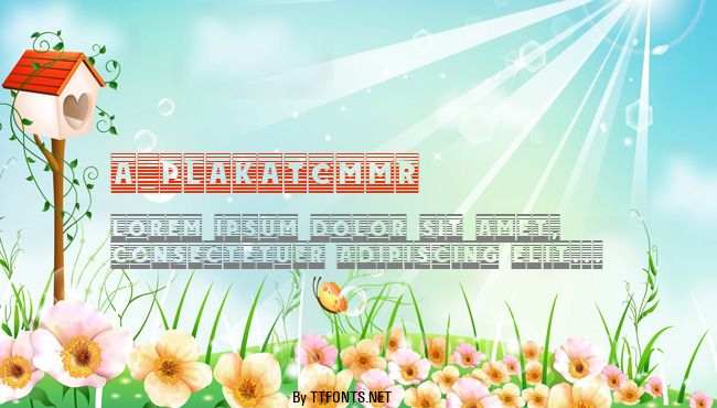 a_PlakatCmMr example