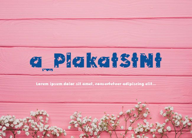 a_PlakatStNt example