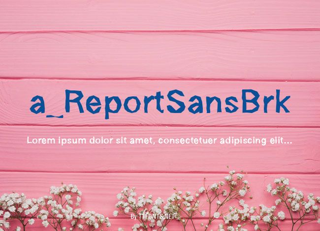 a_ReportSansBrk example